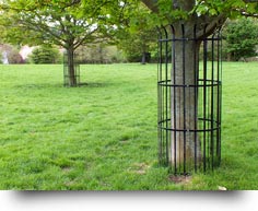 7ft-tree-guard