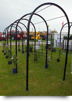 Pergola & Rose Arch