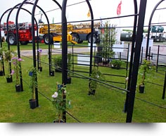 Pergola & Rose Arch