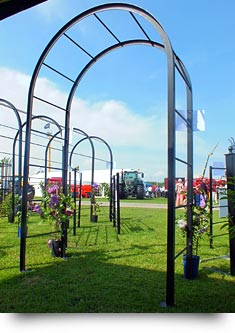 Pergola & Rose Arch