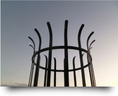 Metal Tree Guard - Electro galvanised with black powder coated finish